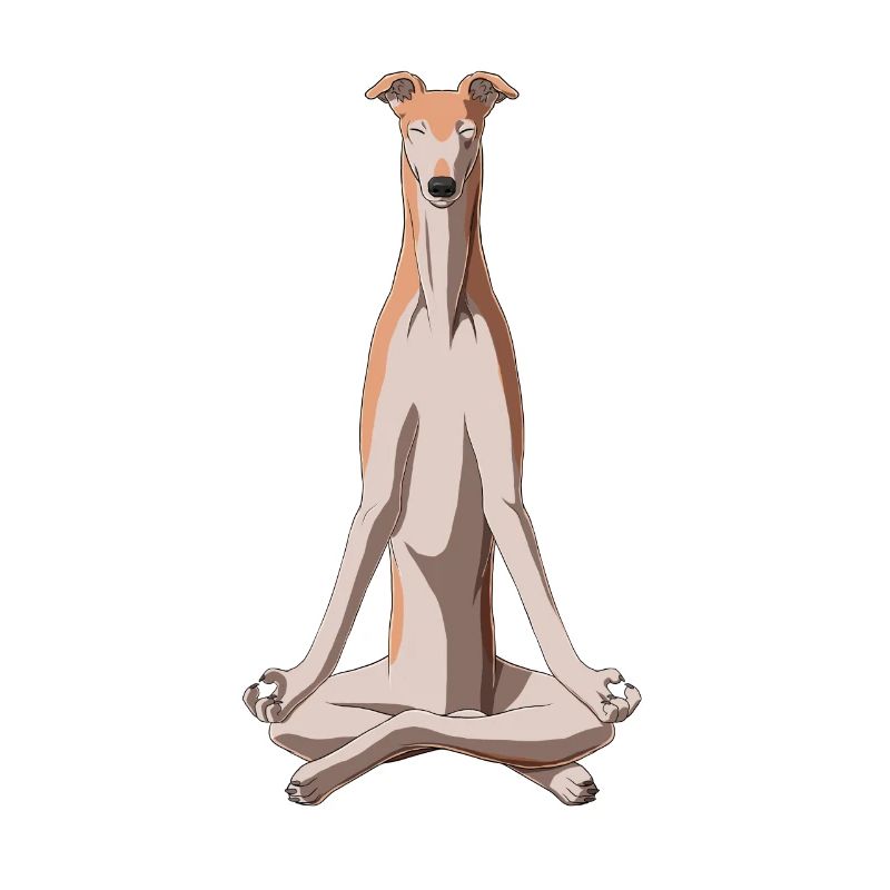 Meditierender Greyhound Hund