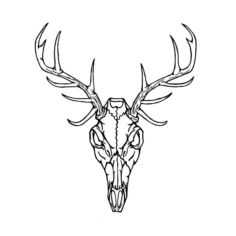 Angry Deer Schädel