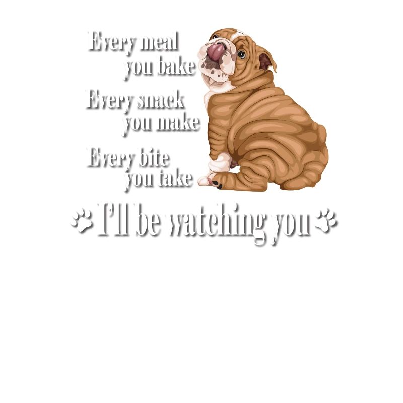 Englische Bulldogge