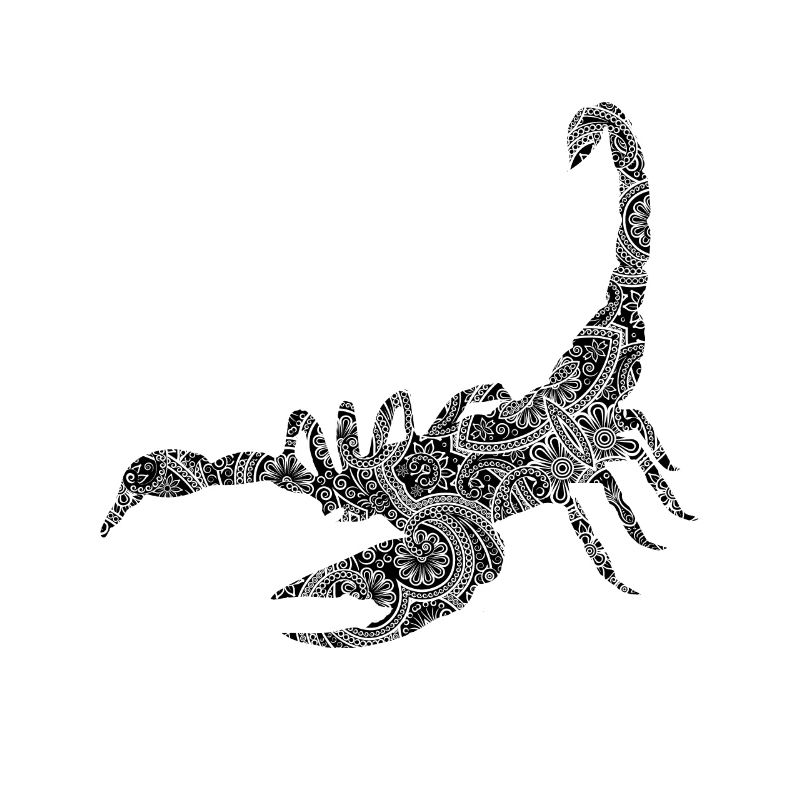 Skorpion