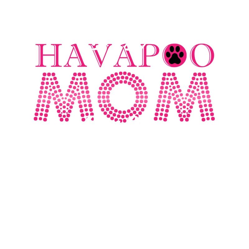 havapoo, havapoo havapoo sky, poodle hybrid,