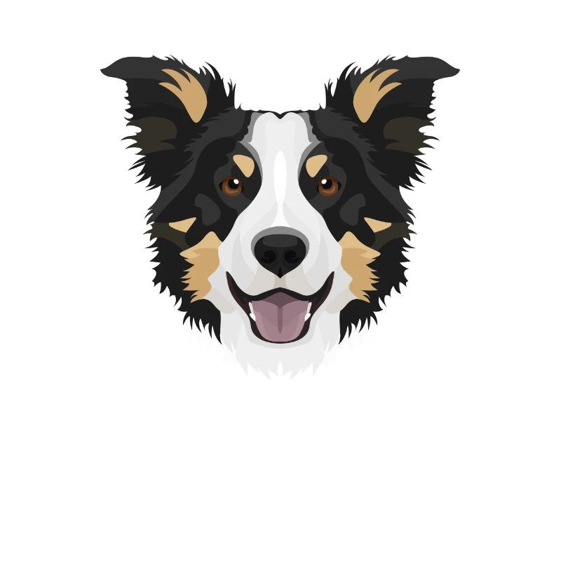 Smiling Border Collie