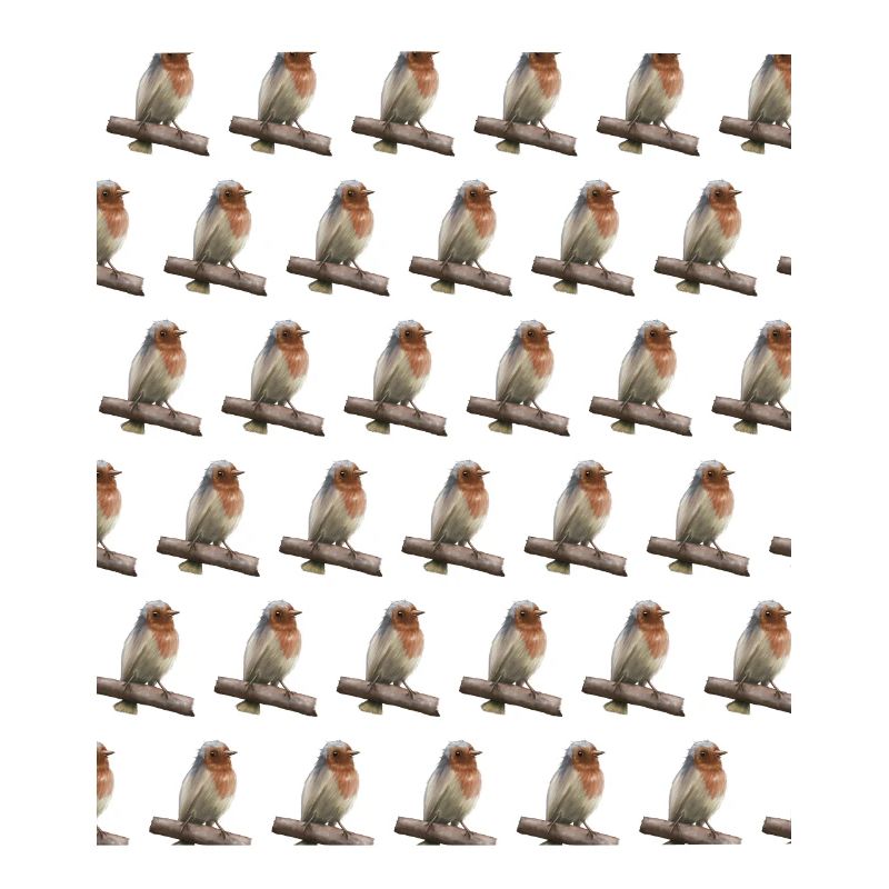 Rotkehlchen Vogelfreund Geschenk