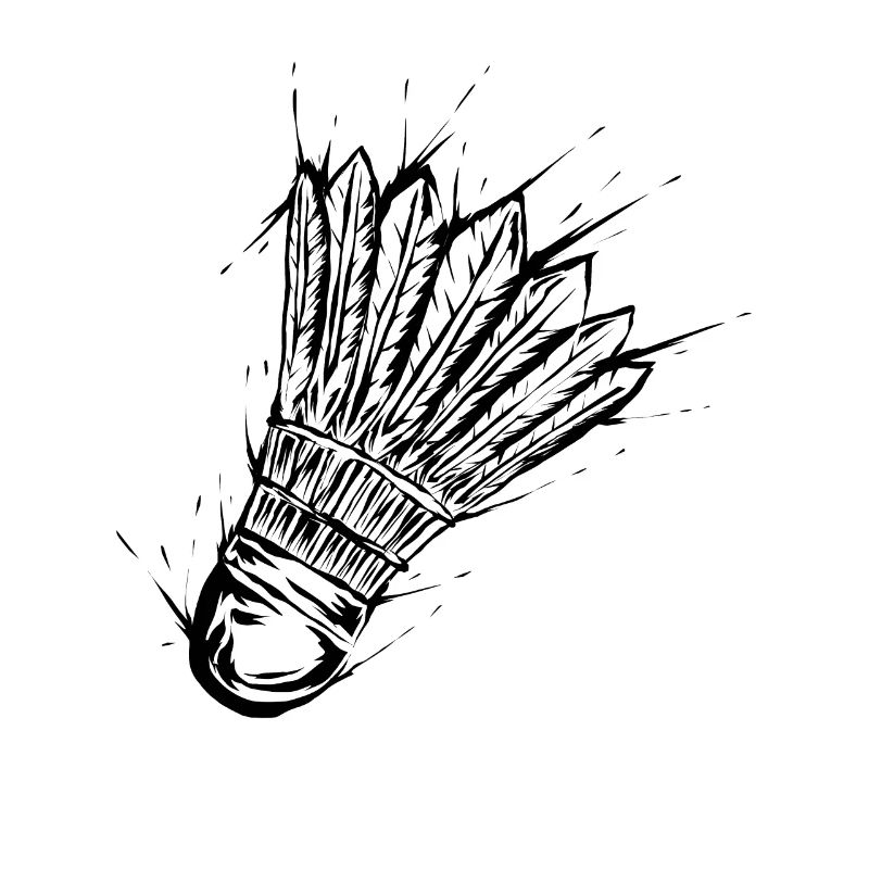 Badminton Federball