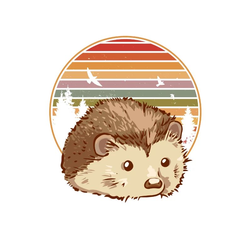 Schönes Igel Bild