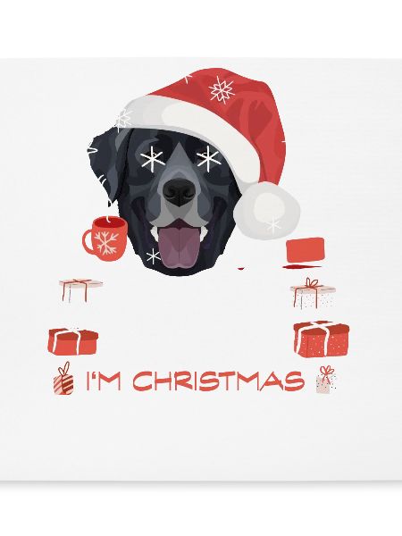 Labrador Weihnachtsmarkt