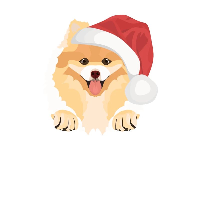 Zwergspitz Joyeux Noël