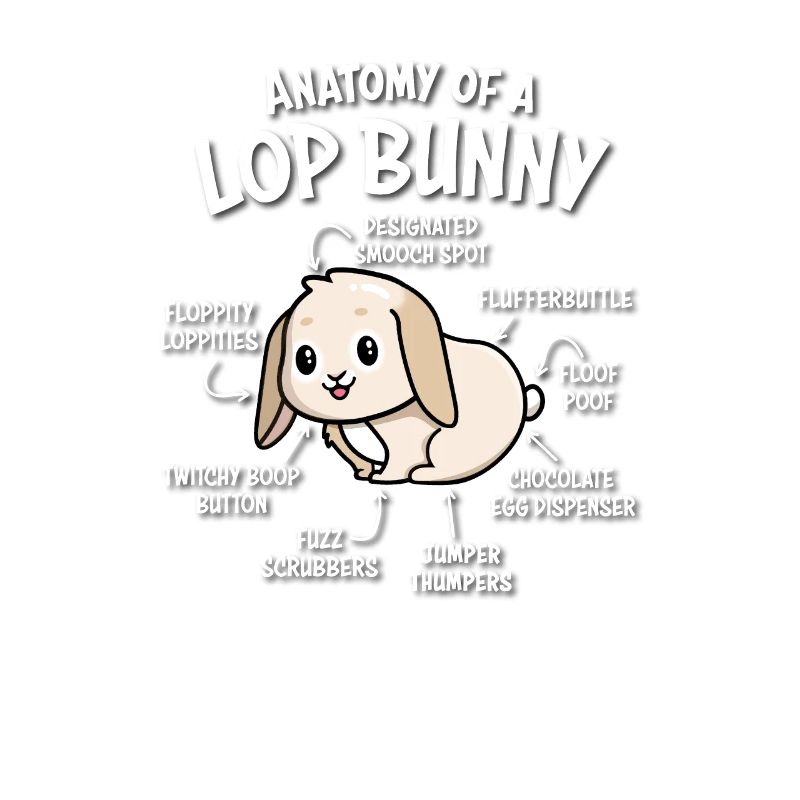 Holland Lop