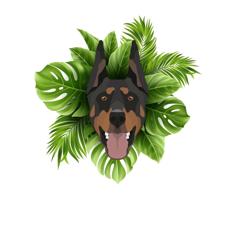 Tropical Doberman