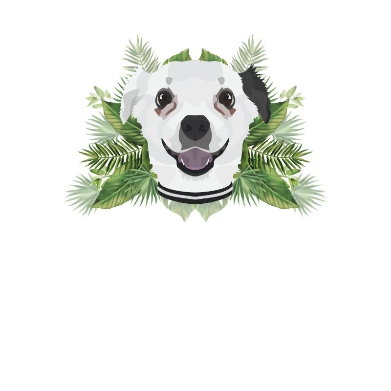 Tropical Chihuahua