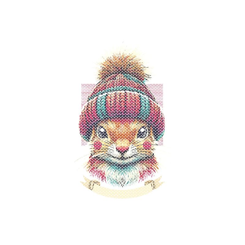 Winter squirrel with cap