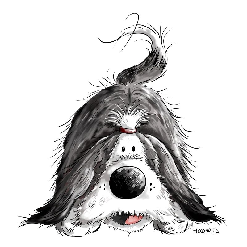 Fröhlicher Bearded Collie