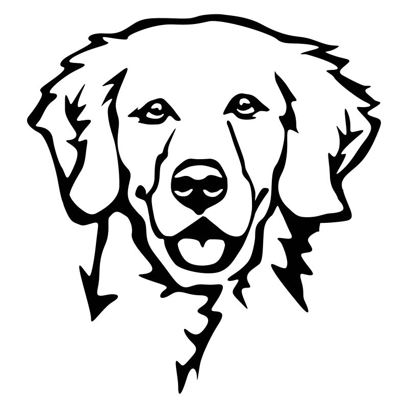 Golden Retriever Kopf