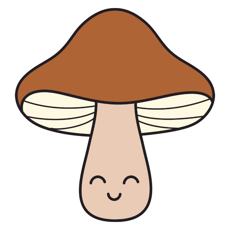 Pilz Pilze