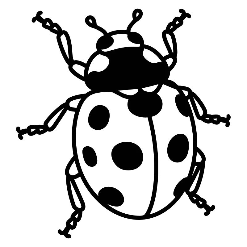 Coccinelle