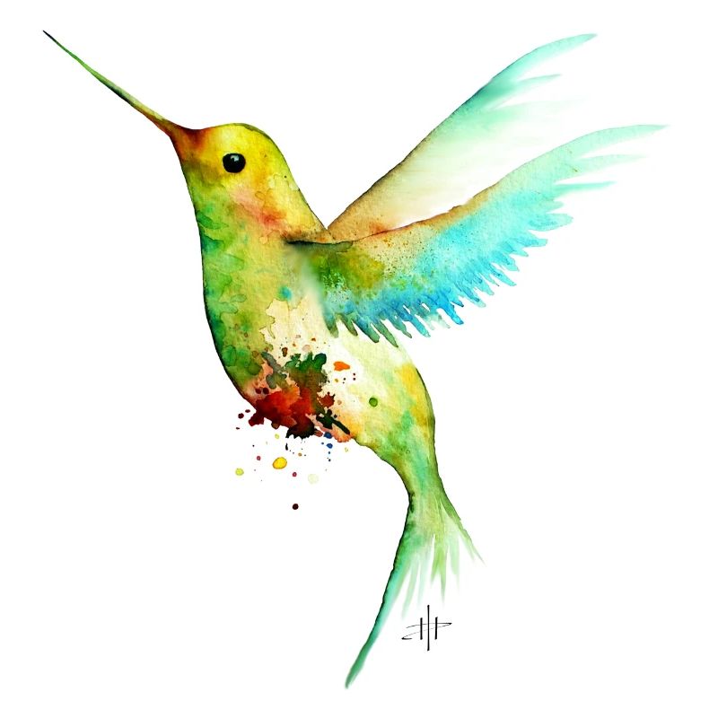 Kolibri