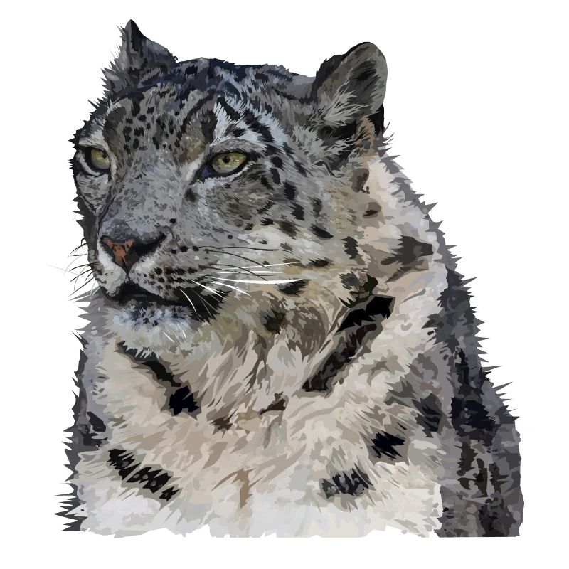 Schneeleopard
