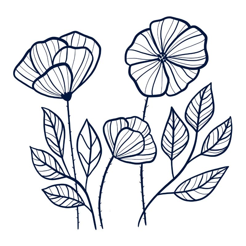 Blaue Mohnblumen