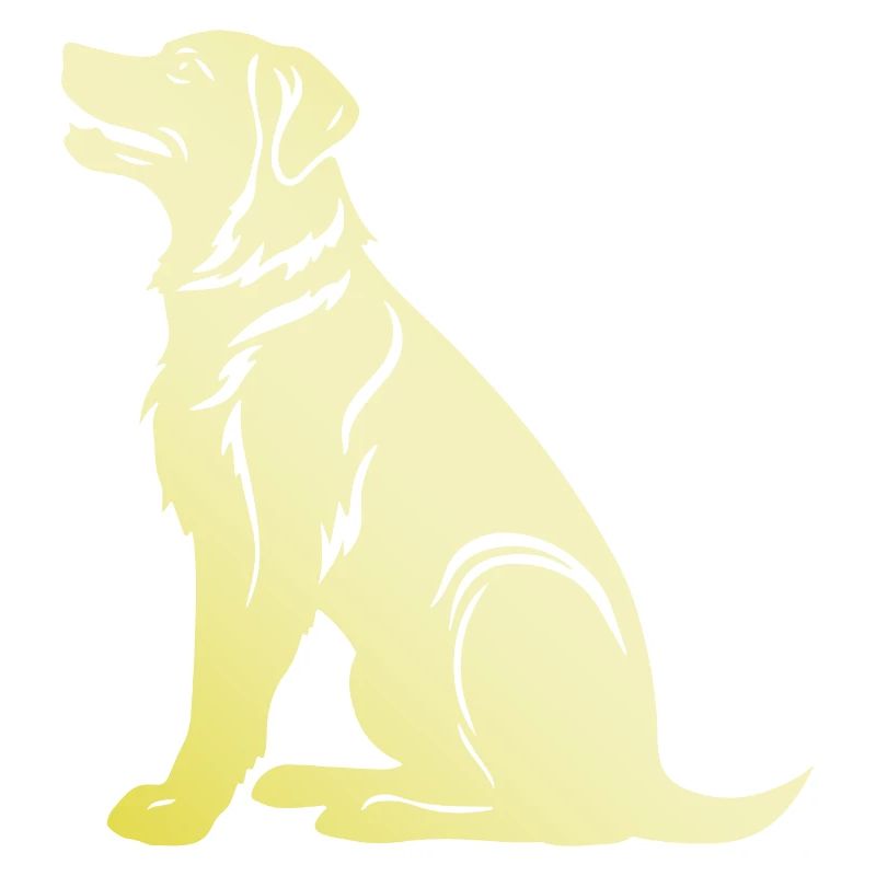 Samojede Hund Silhouette