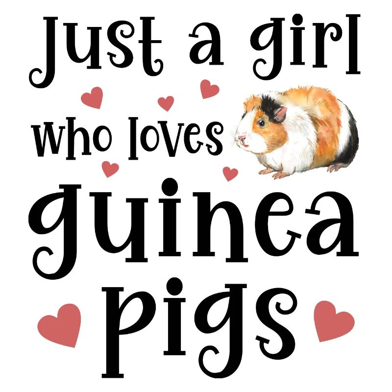 Meerschweinchen