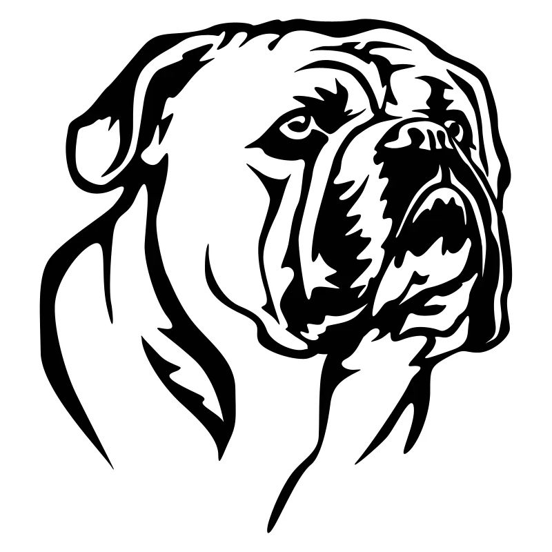 Continental Bulldog Kopf