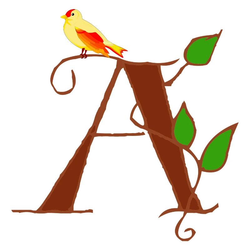 canary a