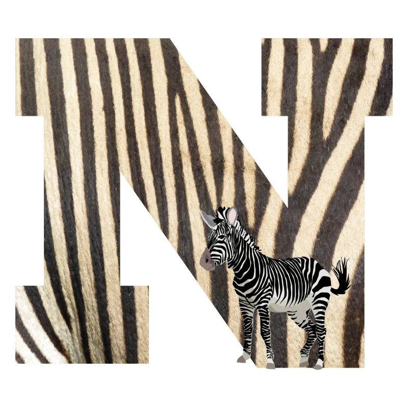 zebra n