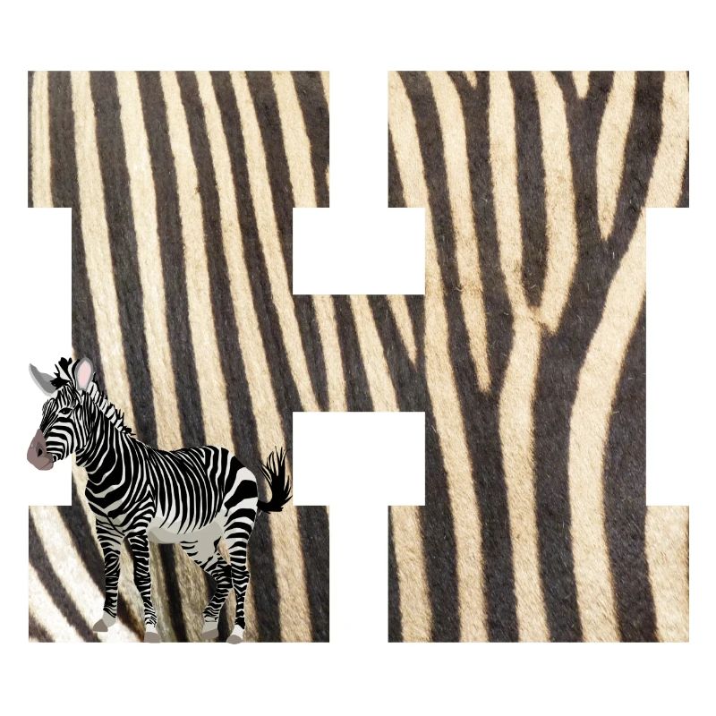 zebra h