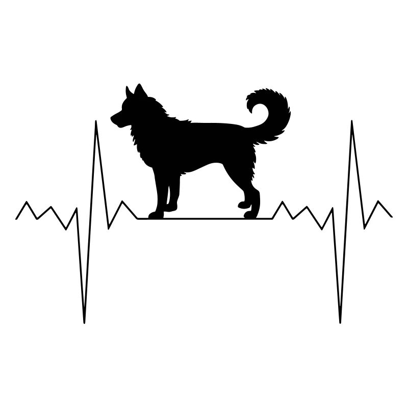 Rythme cardiaque Husky
