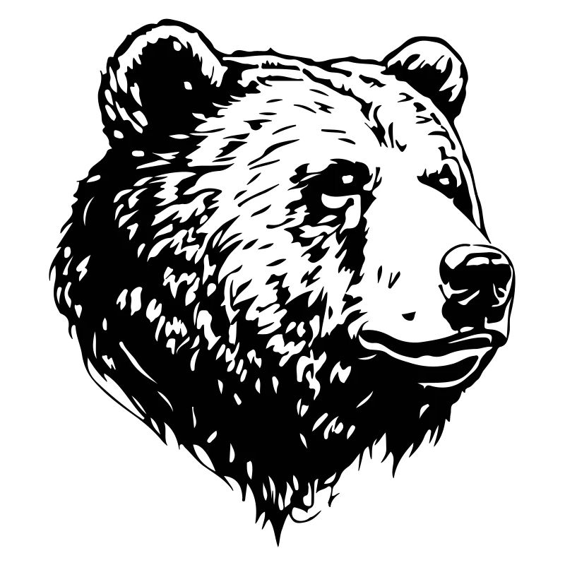 Bär Grizzly Kopf