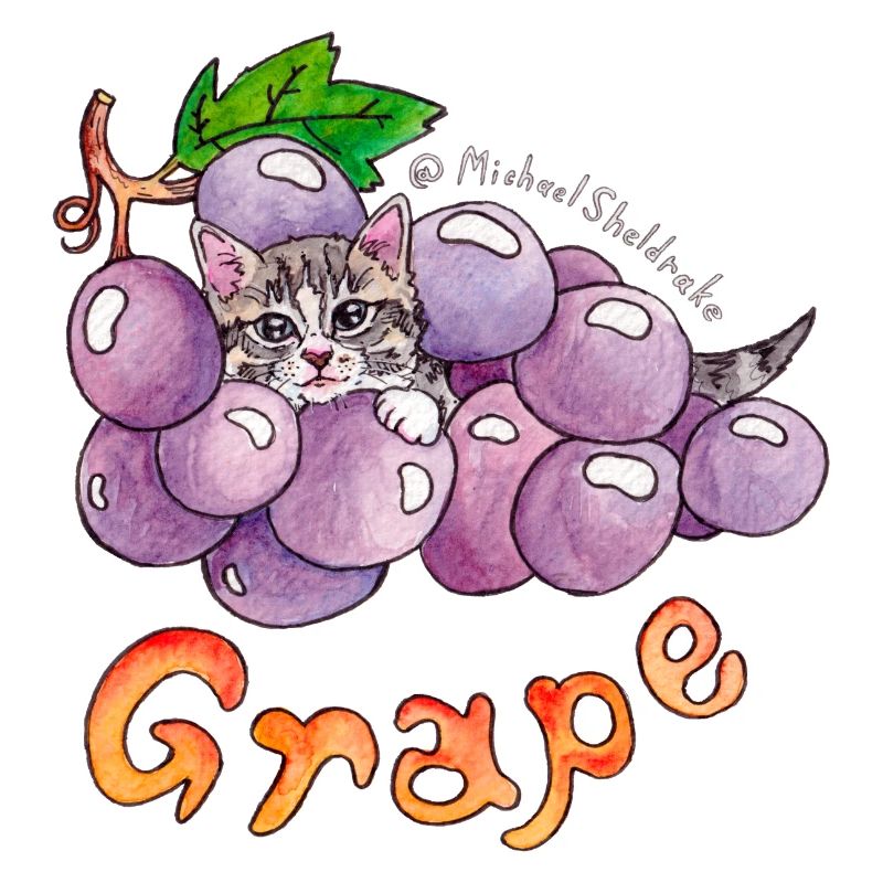 Grape