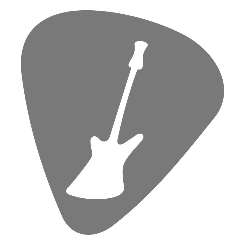 plektrum_e guitar