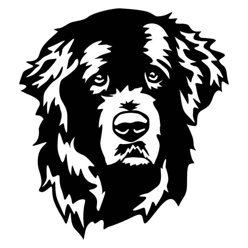 Newfoundland head