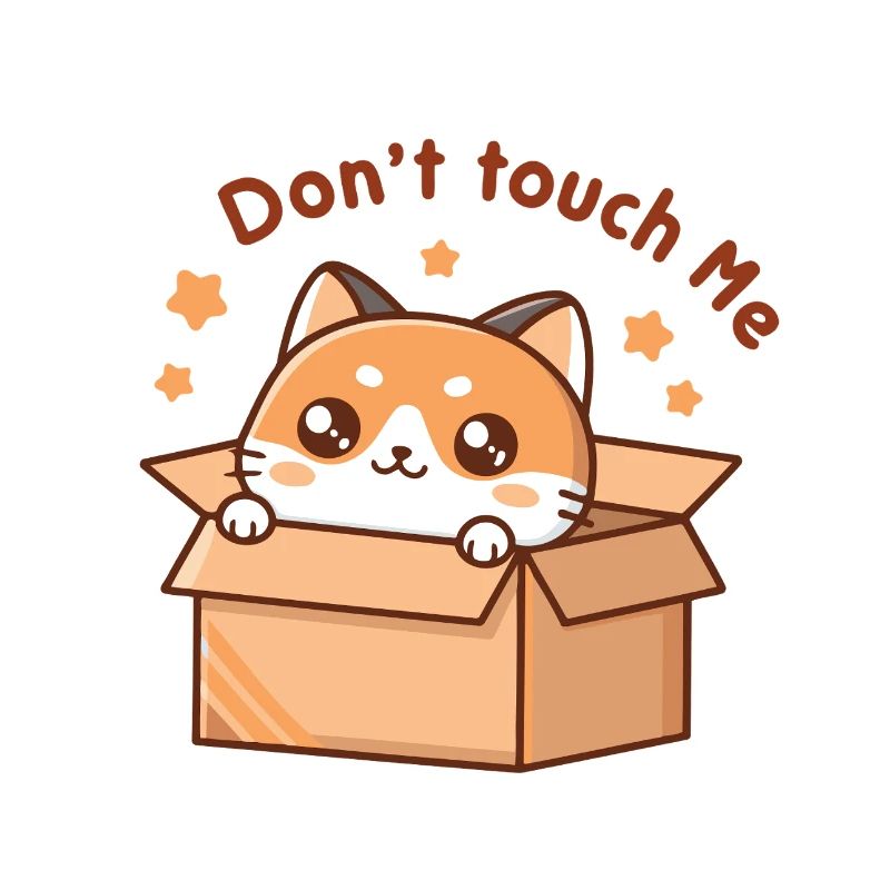 Kitten in a box Don't Touch Me