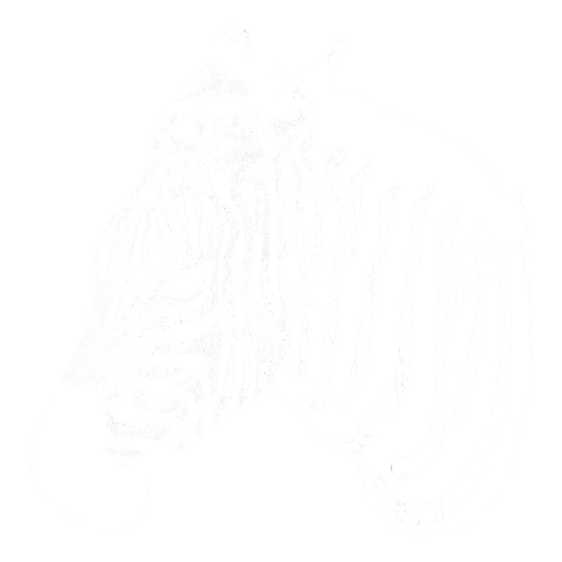 Zebra Silhouette