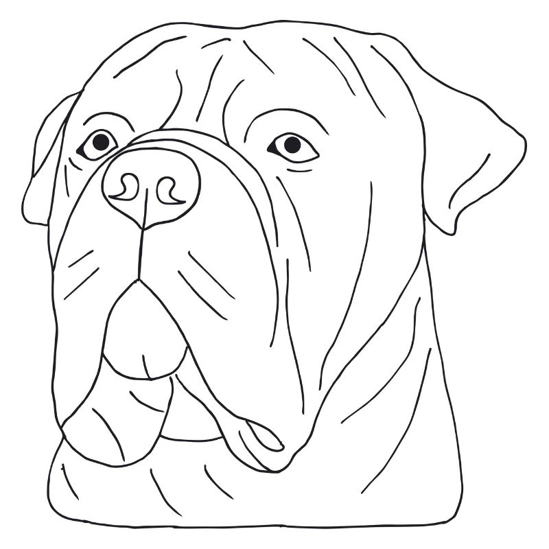 Bullmastiff