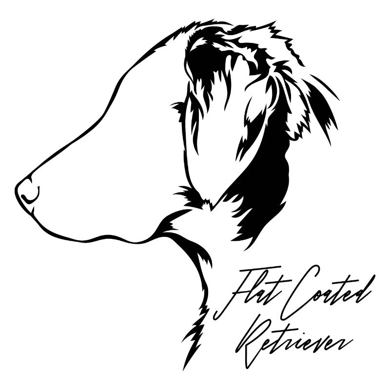 FLAT COATED RETRIEVER Profil Chiens Wilsigns