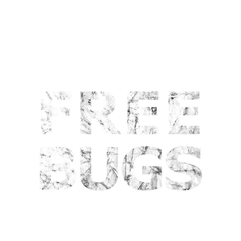 Free Bugs2 - - Programmierer Informatiker