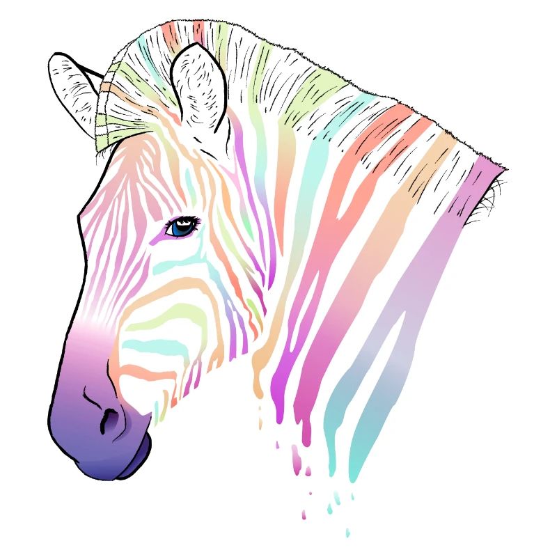 Rainbow zebra