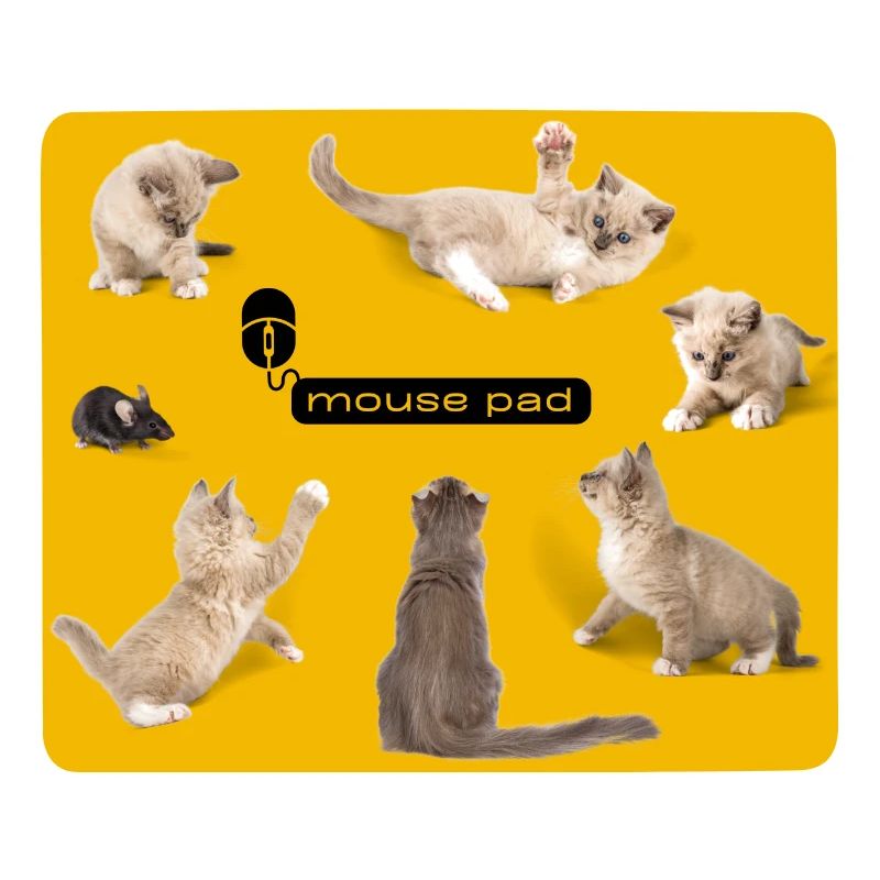 Mouse Pad: Mouse pad