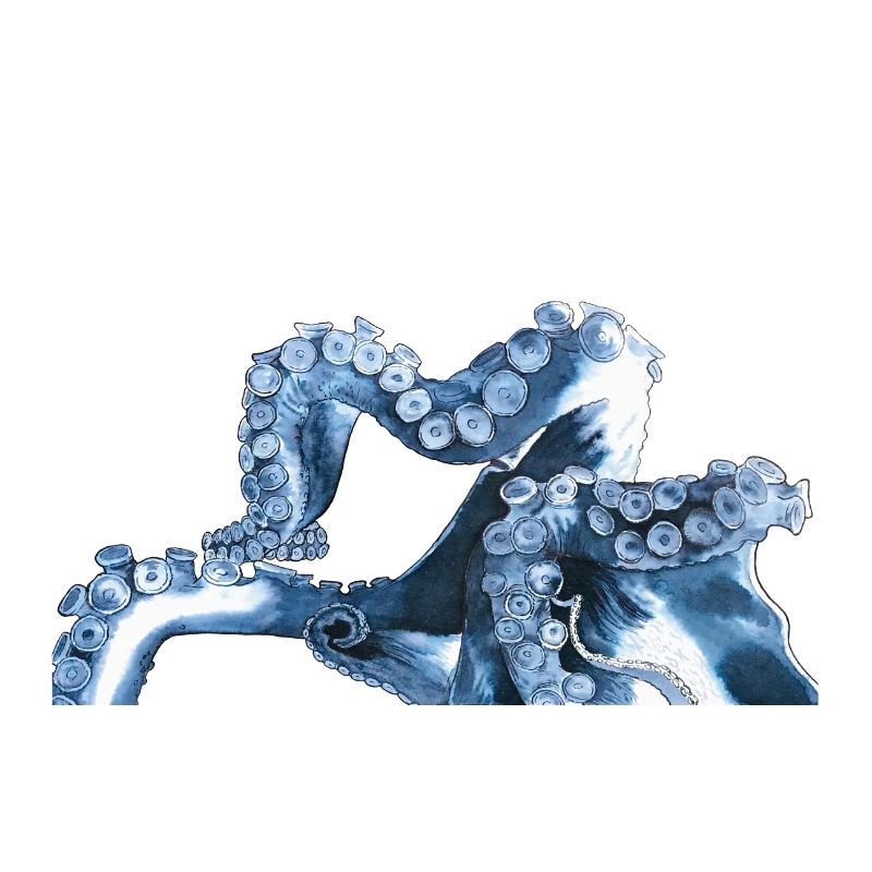 Octopus Tentacle Octopus Tentacle Octopus