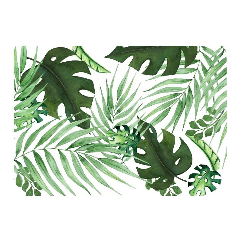 Tropical 2