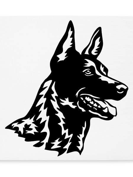 Hollandse Herder Kopf