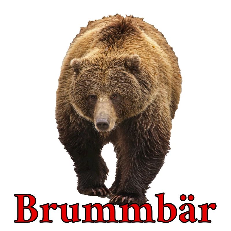 Brummbär