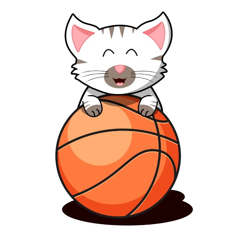 Chat basket chaton bébé chat chat blanc