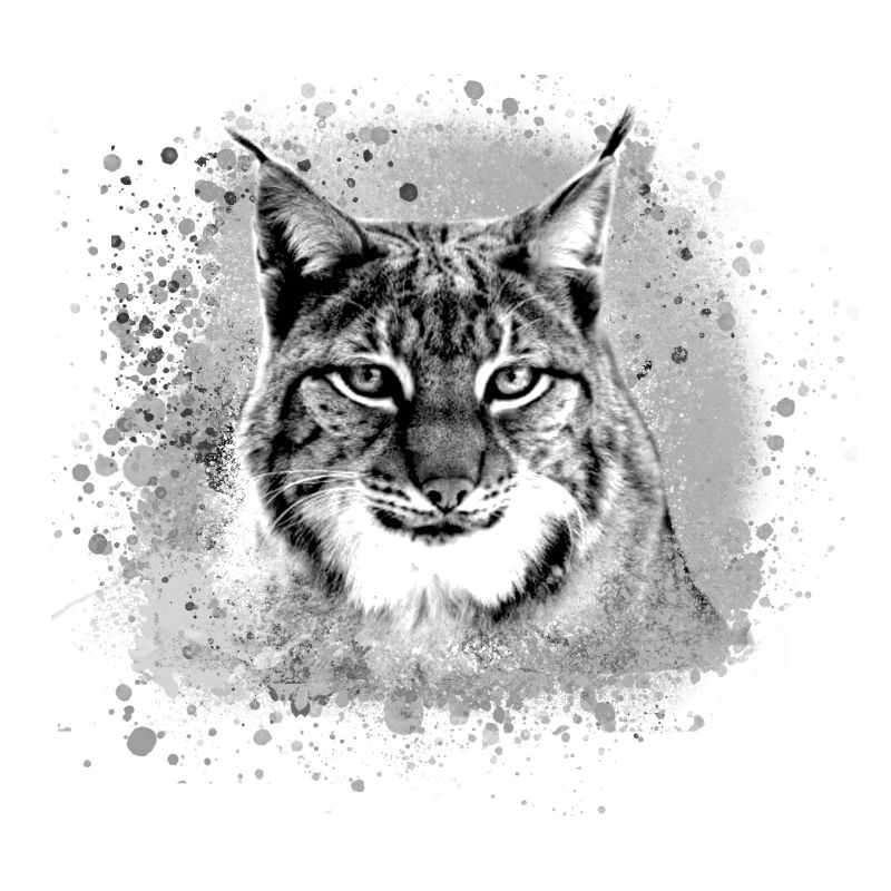 wildkatze,luchs,grau,graffiti,malerei,katze