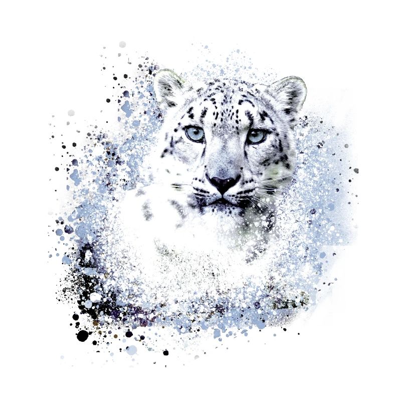 léopard de neige,chat,léopard,léopard,blanc,chat sauvage