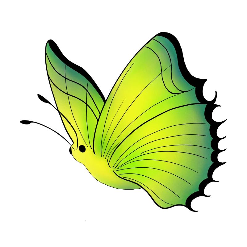 Schmetterling