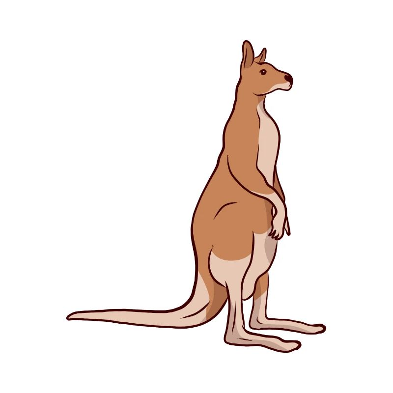 Känguru