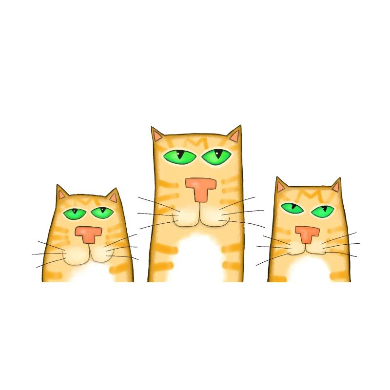 3 Katzen